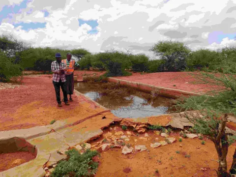 Land Degradation